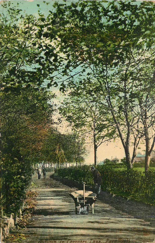 Automne dans Coroners Lane, Barnsley — éditeur W.H. Hall, 3, Prince St., W. (Lancashire) - Recto