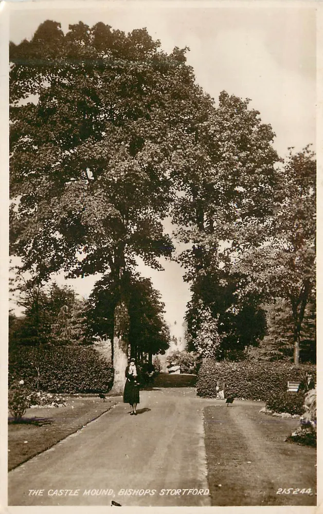O Castelo Mound, Bishops Stortford — vista de um caminho cercado de árvores com uma mulher — Carta Postal Valentine's n°215244 - Frente