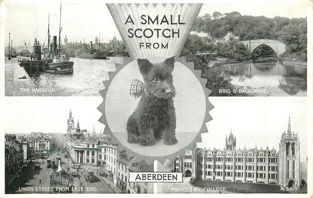 Aberdeen — Panoramablick mit schottischem Terrier-Hund — Silveresque Postcard & Sons, Ltd. - Vorderseite