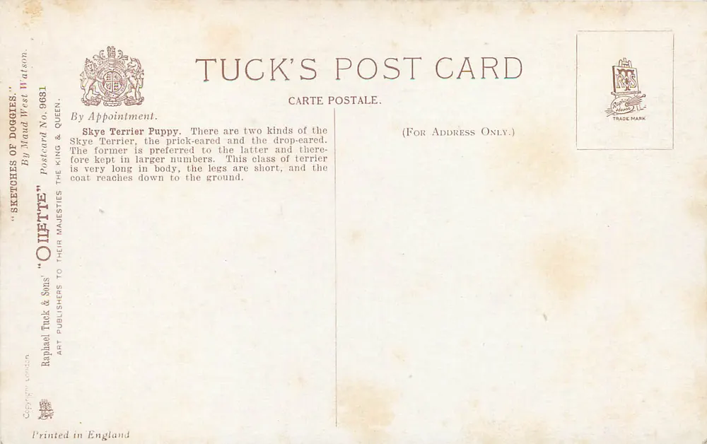 Filhote de Skye Terrier — por Maud West Watson — Tuck's Post Card n°9681 - Verso