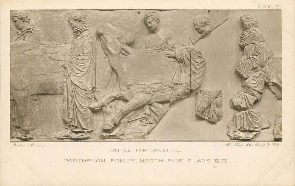 Fries des Parthenon — Ochsen zum Opfer — Slabs II und III — British Museum — The Fine Arts Pub. Co. - Vorderseite