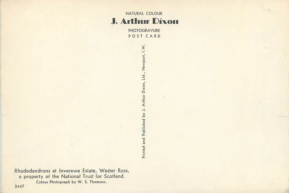Rhododendron am Inverewe Estate — Wester Ross — Verleger J. Arthur Dixon, n° 3447 - Rückseite