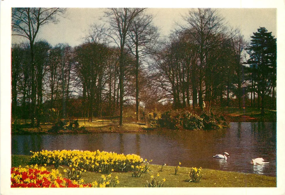 Paisagem de jardim com cisnes — Uitgave J. W. de Gruijter N.V. — T 1502 - Frente