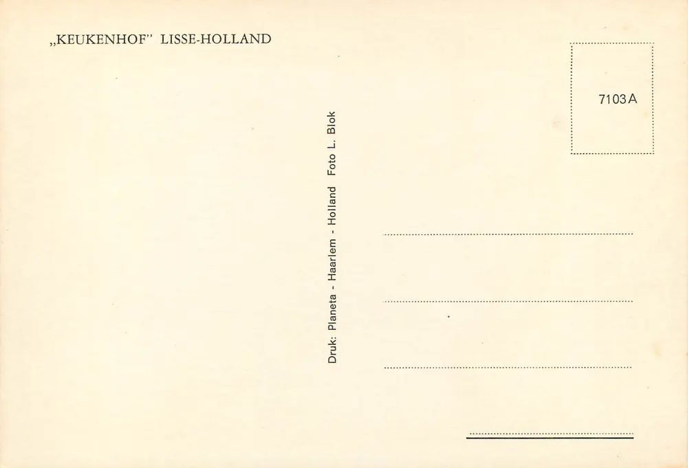 Botanischer Garten Keukenhof — Lisse-Holland — Verlag Planeta, Nr. 7103A - Rückseite