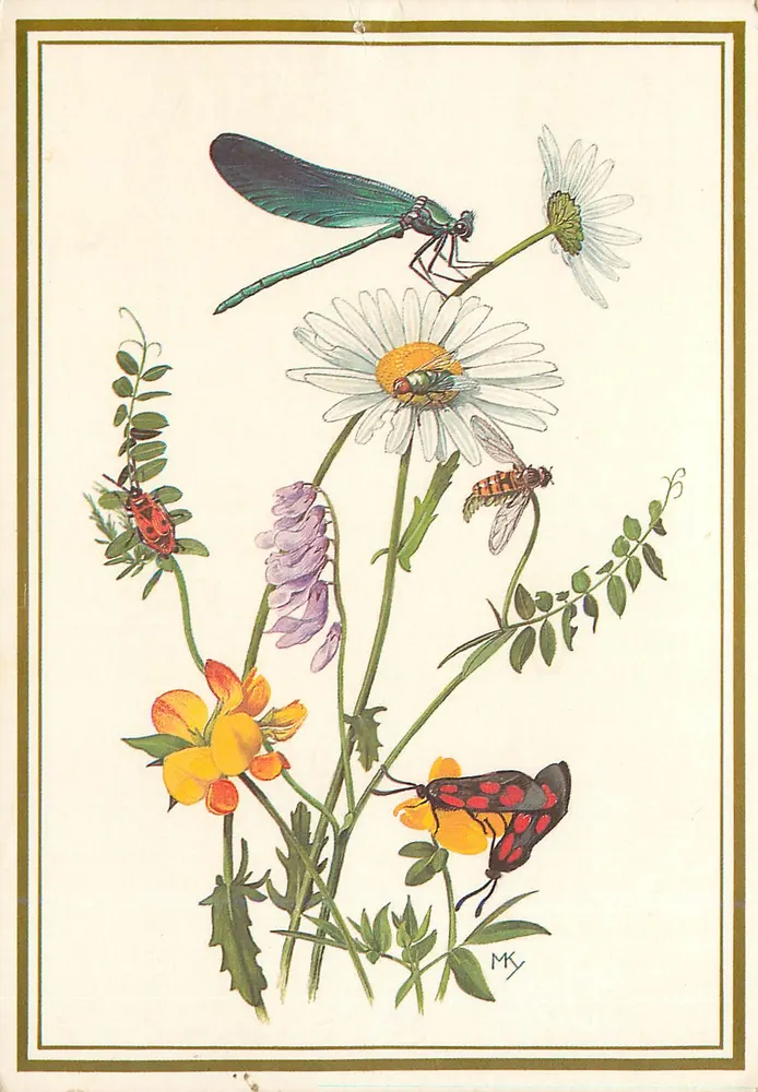 Insetos e flores — ilustração botânica — Marius Kolvoort - Frente