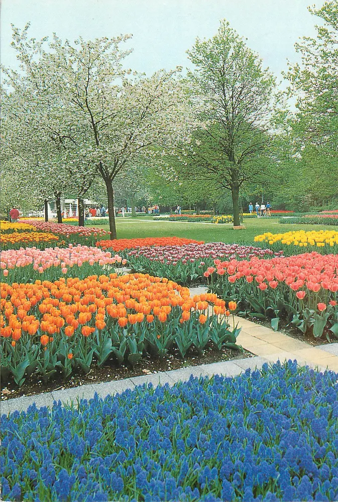 Garten von Keukenhof — Lisse-Hollande — Verlag: Keukenhof - Vorderseite