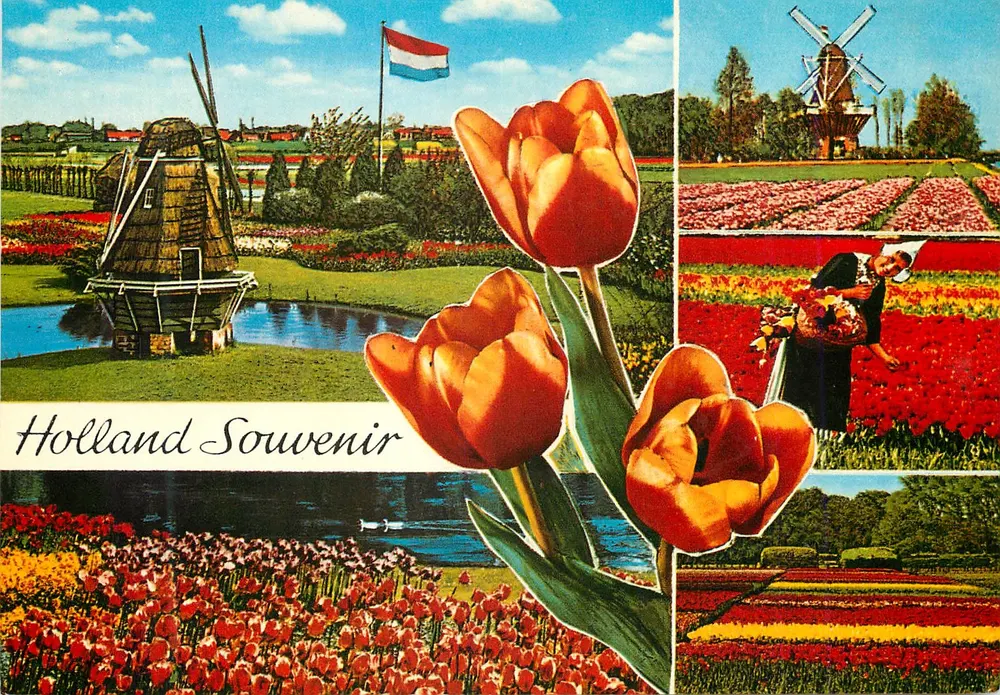 Paisagem holandesa — moinho de vento, campos de tulipas e mulher em traje tradicional — Holland Souvenoir - Frente