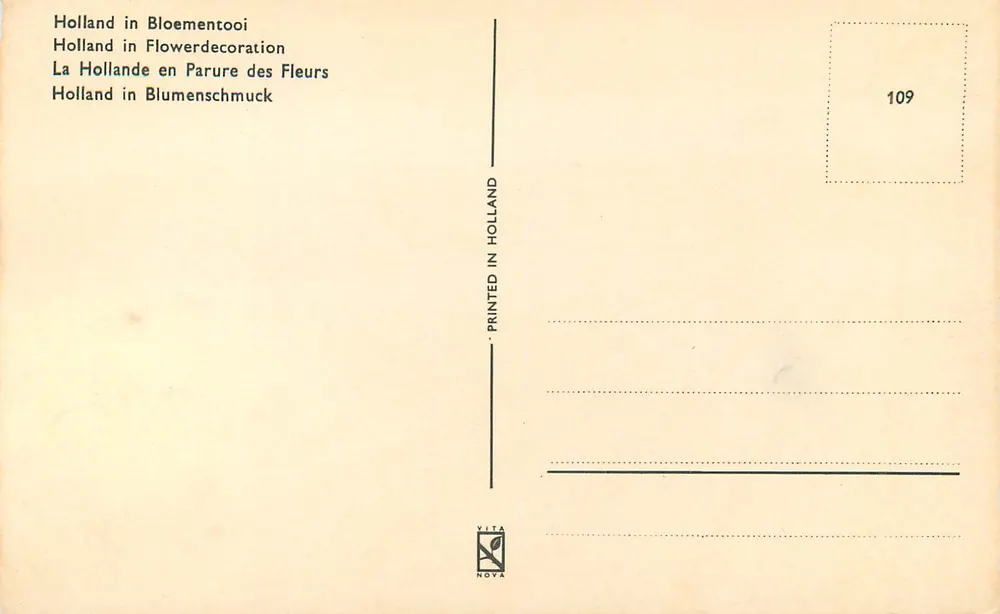 Campos de jasmins na Holanda — VITA NOVA, n°109 - Verso