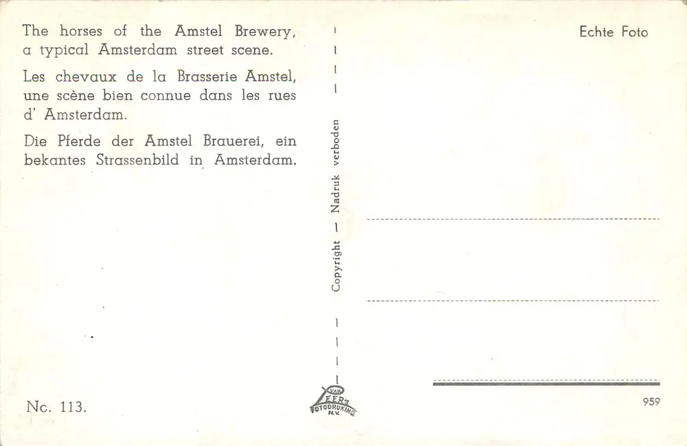 Pferde der Brauerei Amstel — typische Szene von Amsterdam — Van Eert Fotodrukning N.V., Nr. 113 - Rückseite