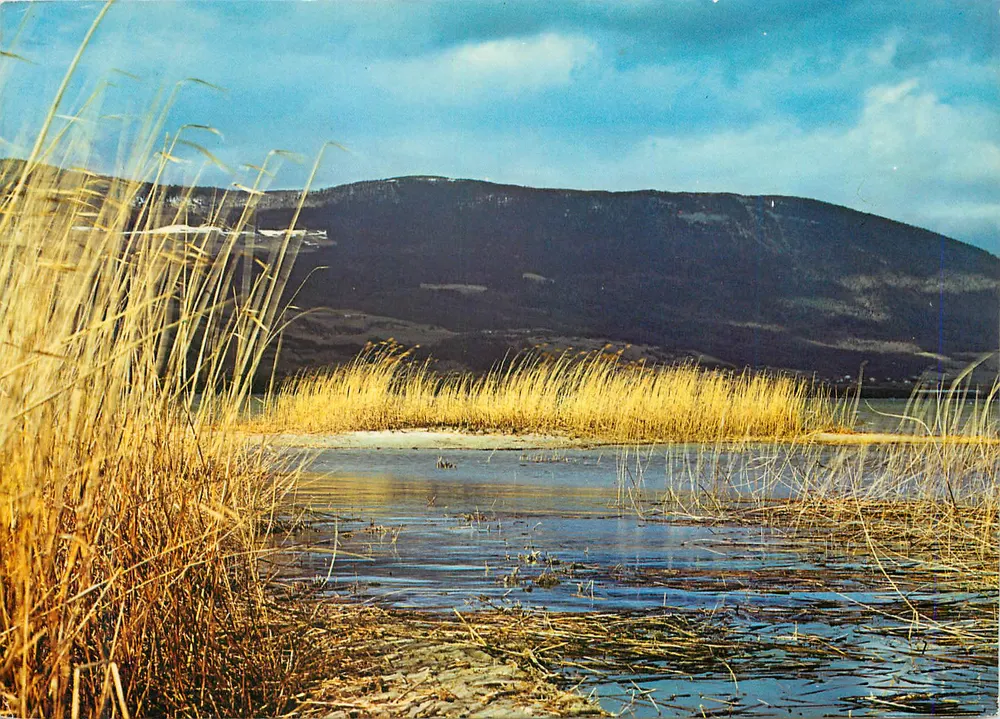 Lago com caniços e montanhas nevadas — Colorphoto n°14543 — Edição Deriaz Baulmes - Frente