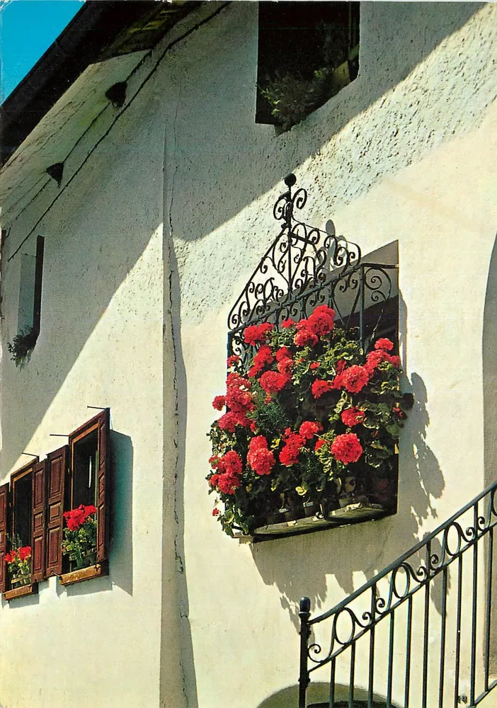 Janela de flores na Engadina — Engadiner Blumenfenster — Celerina-Oberengadin, C. Fili, n° 603 - Frente