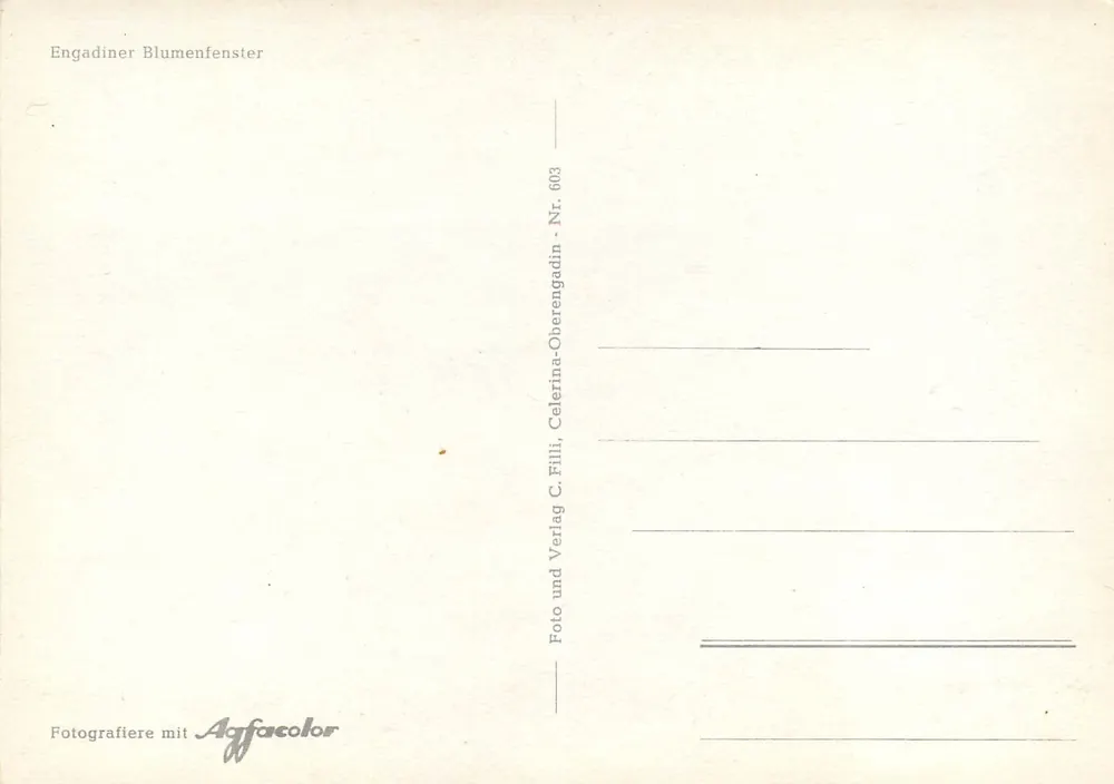 Janela de flores na Engadina — Engadiner Blumenfenster — Celerina-Oberengadin, C. Fili, n° 603 - Verso