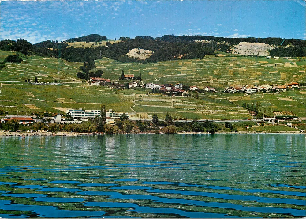 Cully bei Lausanne — Ansicht des Léman — Ausgabe Perrochet - Vorderseite