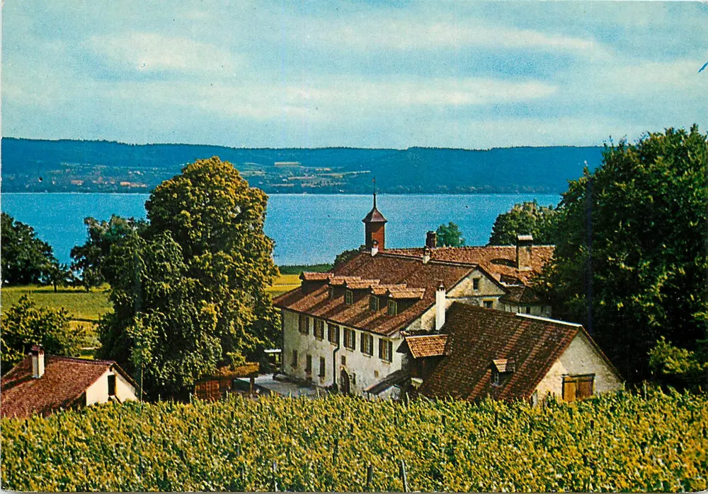 Ile Saint-Pierre (Lac de Bienne) — Restaurant-Hôtel Stämpfli-Dubach — Verlag O. Wyrsch, Agno, Nr. 1433 - Vorderseite