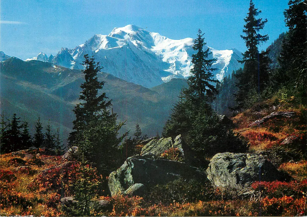 Alpe de la Creusa — O Mt. Blanc 4810 m. — Foto Klopfenstein, Adelboden - Frente
