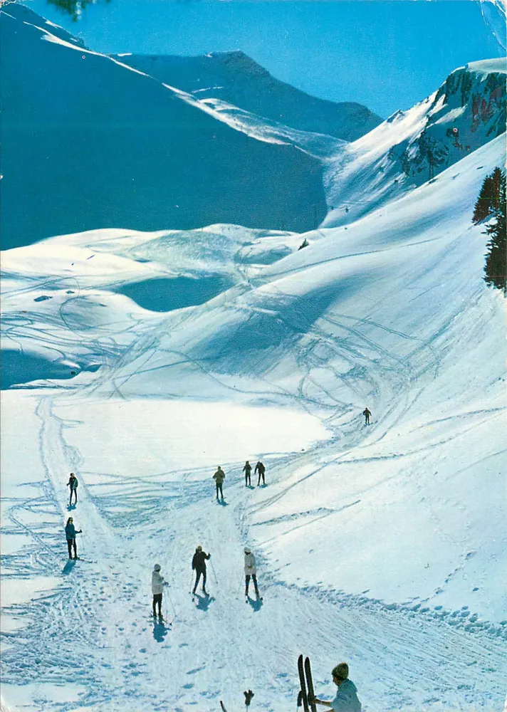 Col des Mosses — Lac Lioson — Pic Chaussy — Colorphoto Edition Deriaz Baumlmei Nr. 12549 - Vorderseite