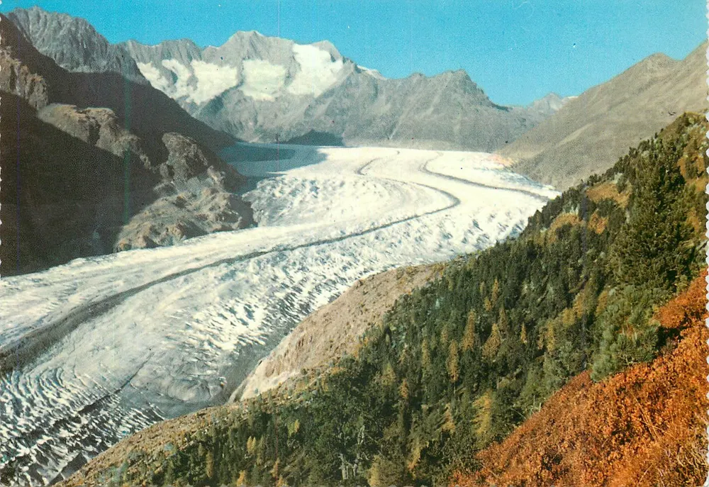 Forêt d'Aletsch und der Aletsch-Gletscher — Edition SARTORI Fils, Veyvey, Nr. 3108 - Vorderseite