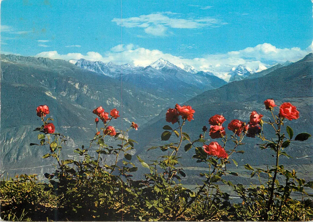 Panorama visto de Crans-Montana — Suíça — Edição Photoglob SA, Zurique/Vevey - Frente