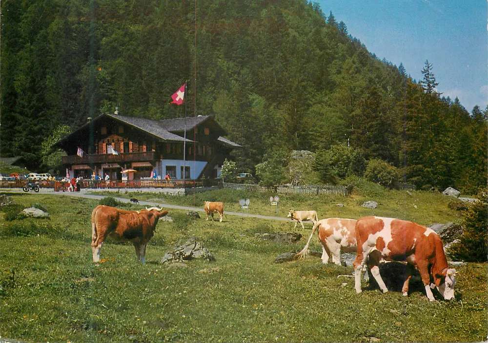 Gemeinschaftshaus Pont de Nant — Les Plans sur Bex — Edition Photoglob SA, Zurich/Vevey - Vorderseite