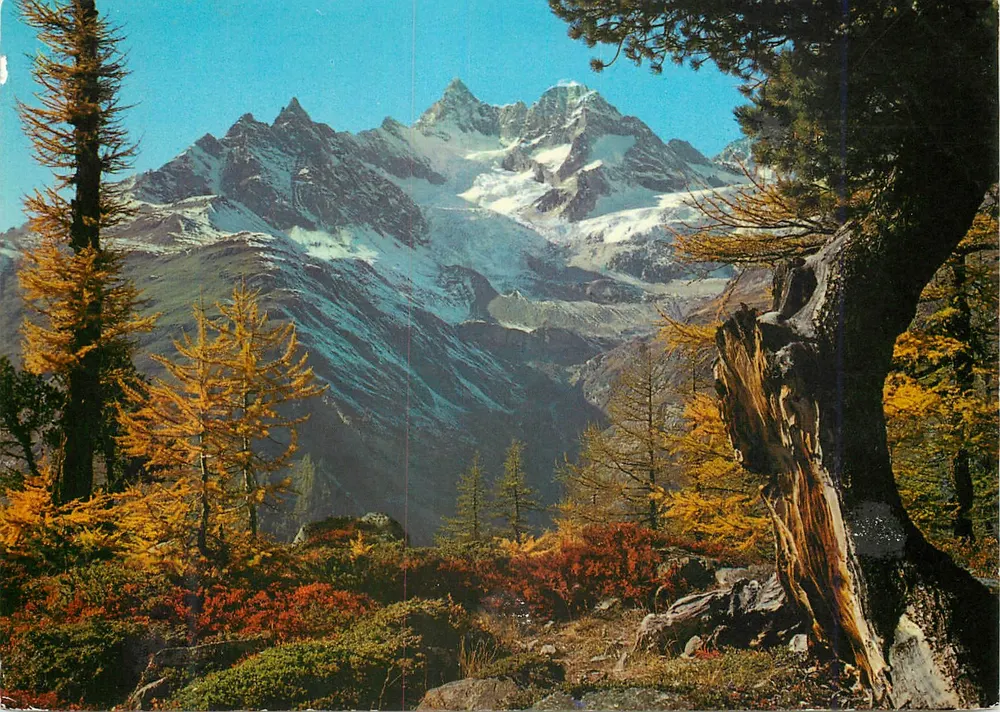 Mont Blanc — Herbstansicht — Roquebrune Cap-Martin SA - Vorderseite