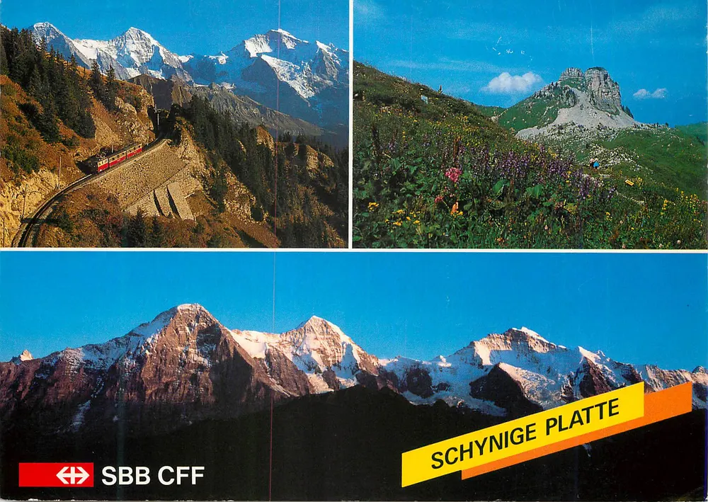 Schynige Platte — vista panorâmica e trem — SBB CFF - Frente