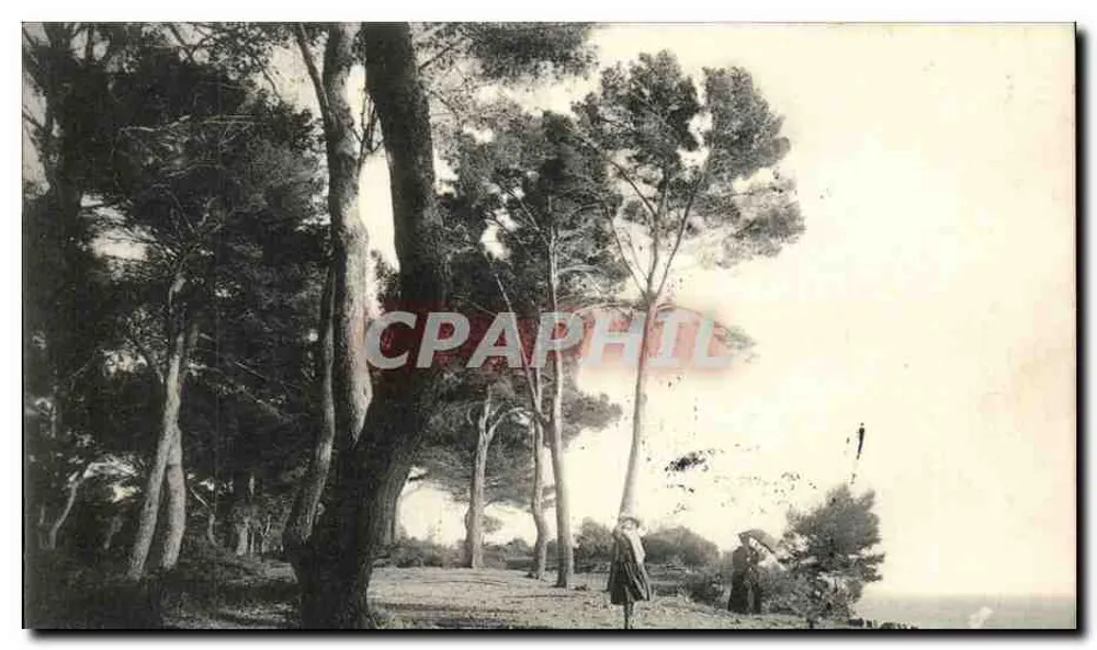 Duas mulheres em um parque arborizado — editor não identificado - Frente