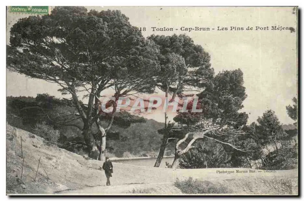 Toulon - Cap-Brun - Les Pins de Port Méjean — Phototypie Marius Bar, Toulon - Vorderseite