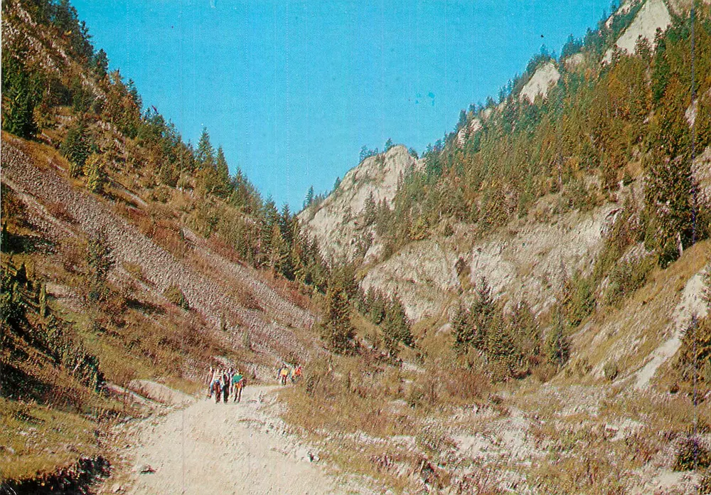 पिएनिनी - पहाड़ी मार्ग से ट्रेकर्स - एगेंसिया व्यदानिक्जा क्राजोवा, संख्या 26-4934/III - आगे