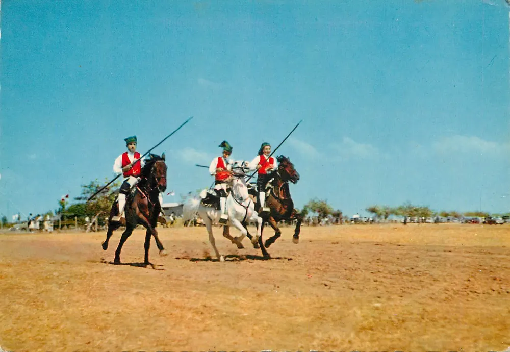Campinos du Ribatejo — Portugal — Éditions Carlos TOME, n°103 - Vorderseite