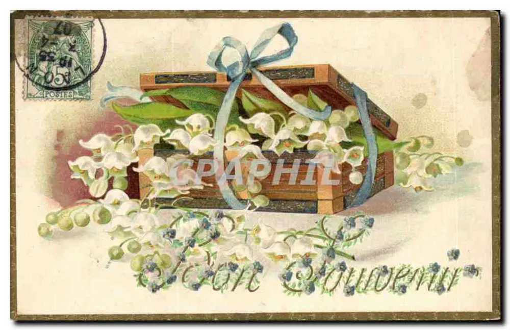 Lilie der Frühling — Blüte des Frühlings — Verlag nicht sichtbar - Vorderseite