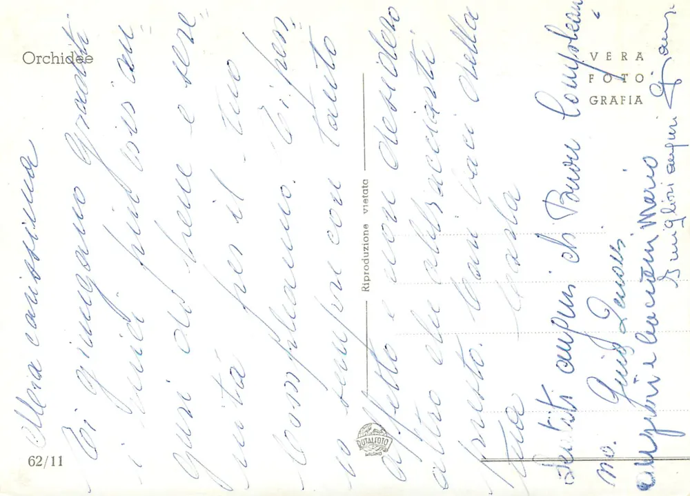 Orquídea — desejo de aniversário — Vera Foto Grafia, n° 62/11 - Verso