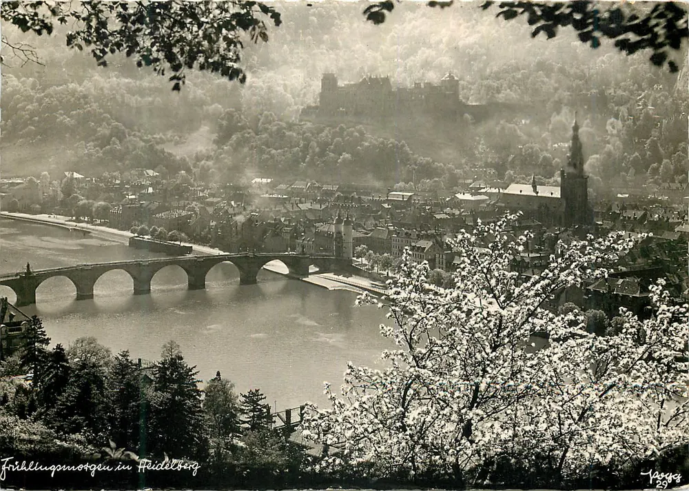 Heidelberg — Mañana de primavera en Heidelberg — Popp-Verlag, n° 75 - Anverso