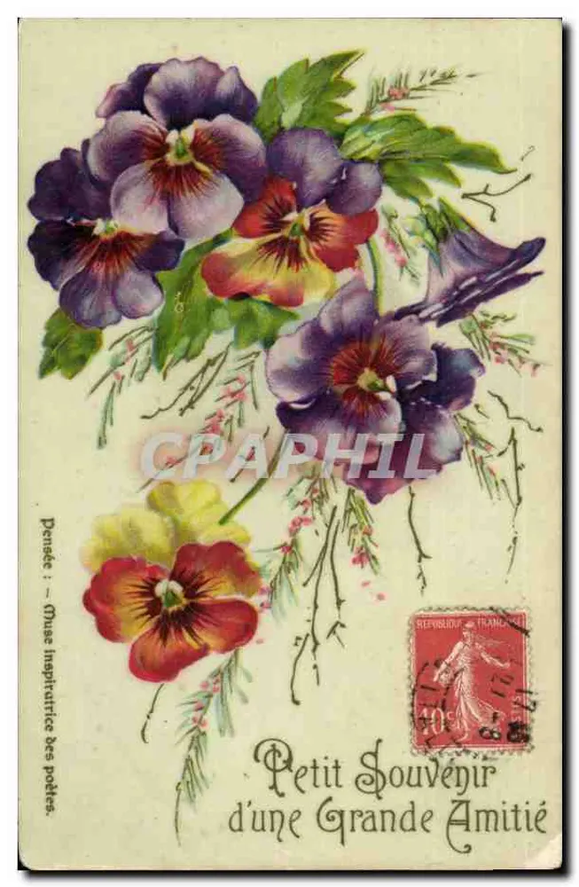 Gänseblümchen — Muse der Inspiration für Dichter — Verlag K. F., Paris - Vorderseite