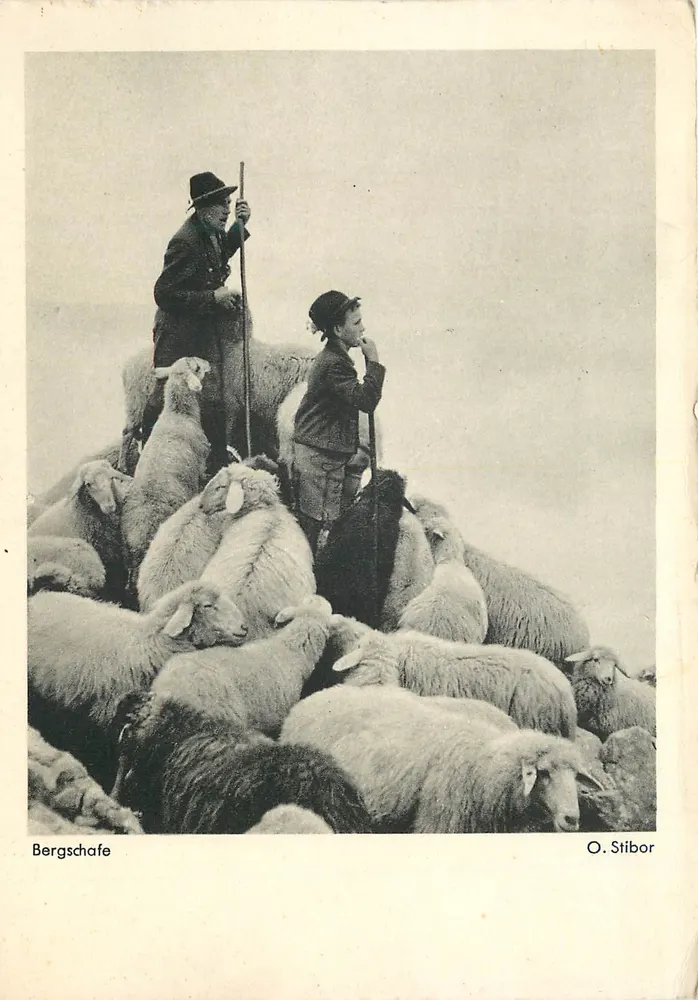 बर्गशैफ़ — O. Stibor - आगे