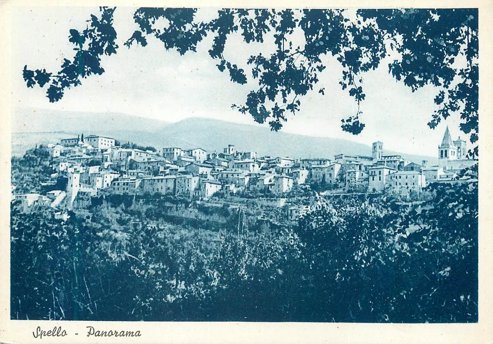 Spello - Panorama — vista panorâmica do vilarejo em tons de azul monocrômico, editor ALTEROCCA-TERNI, n° 14699 - Frente