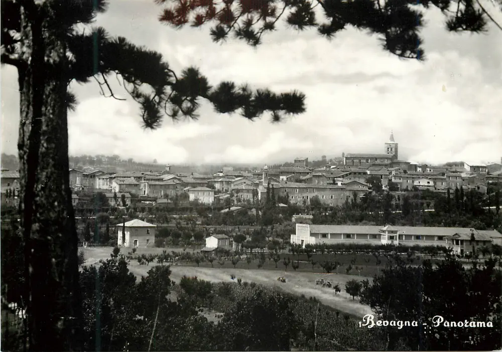 Bevagna — Panorama — widok z drzewa, wydawca FOTO-STAMPA ANGELI - TERNI - Awers