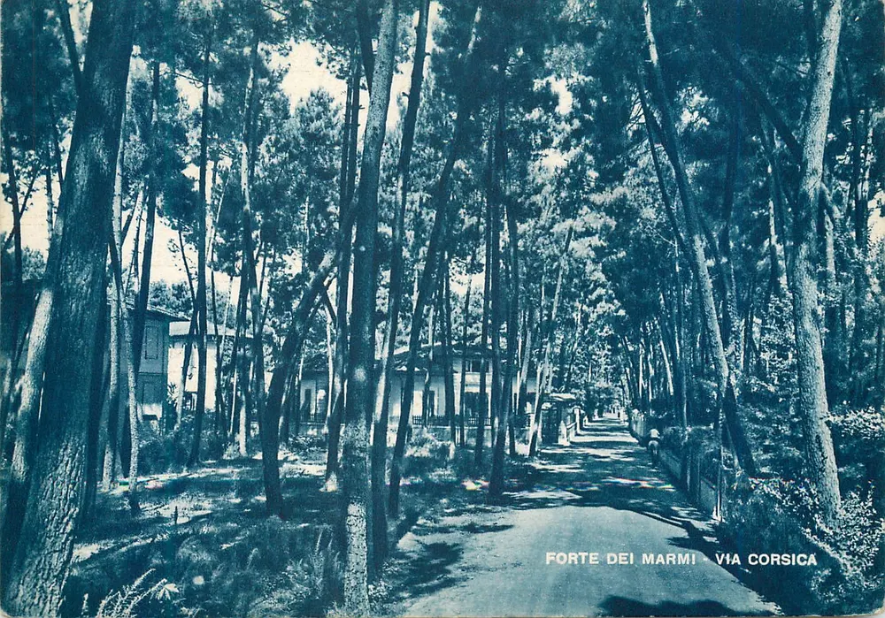 Forte dei Marmi — Via Corsica — Ediz. D. Rossi - P. Marconi - Frente