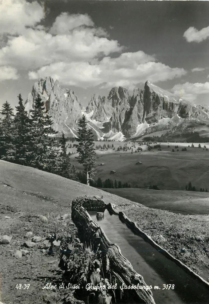 Alpe di Siusi - Gruppo del Sassolungo m. 3178 — Foto Ghedina, Cortina-Riva - Vorderseite