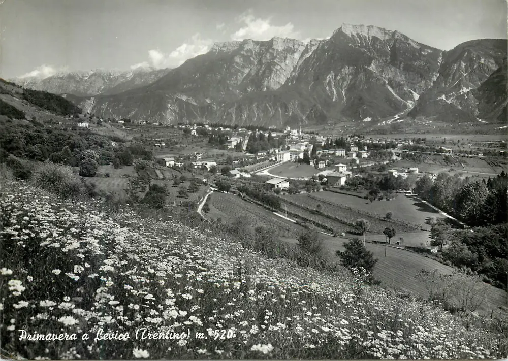 Primavera a Levico (Trentino) m. 528 — vue panoramique avec fleurs en premier plan — Ediz. De Carli Primo, Levico Terme - Recto
