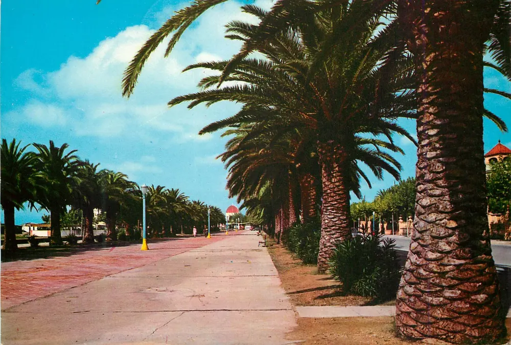 Salou (Tarragona) — Paseo de Jaime el Conquistador — editor Beascoa, n° serie B-4186-VII - Anverso