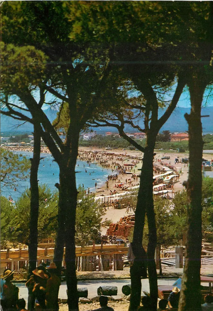 Salou (Costa Dorada) — vista da praia a partir dos pinheiros — editor Fotografia Marca-Puig-Ferran, série II n° 857 - Frente