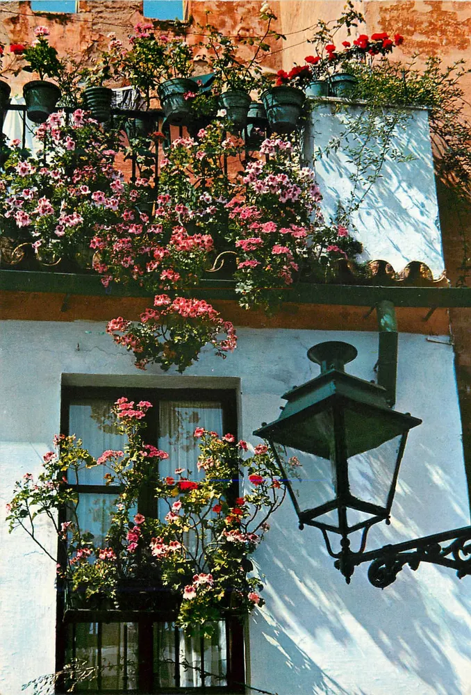 Fleurs sur un balcon à Séville — Barrio de Santa Cruz — Éditions Otto Reuss, n° 169 - Recto