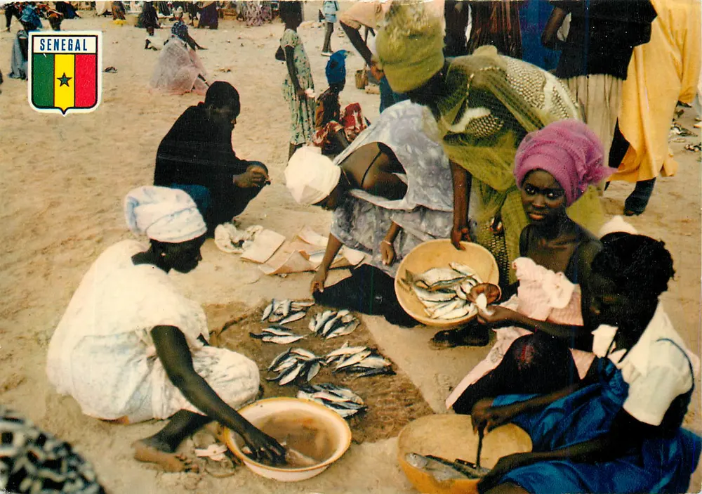 Vendedoras de peixe — Senegal — editor IRIS, n° 5652 - Frente
