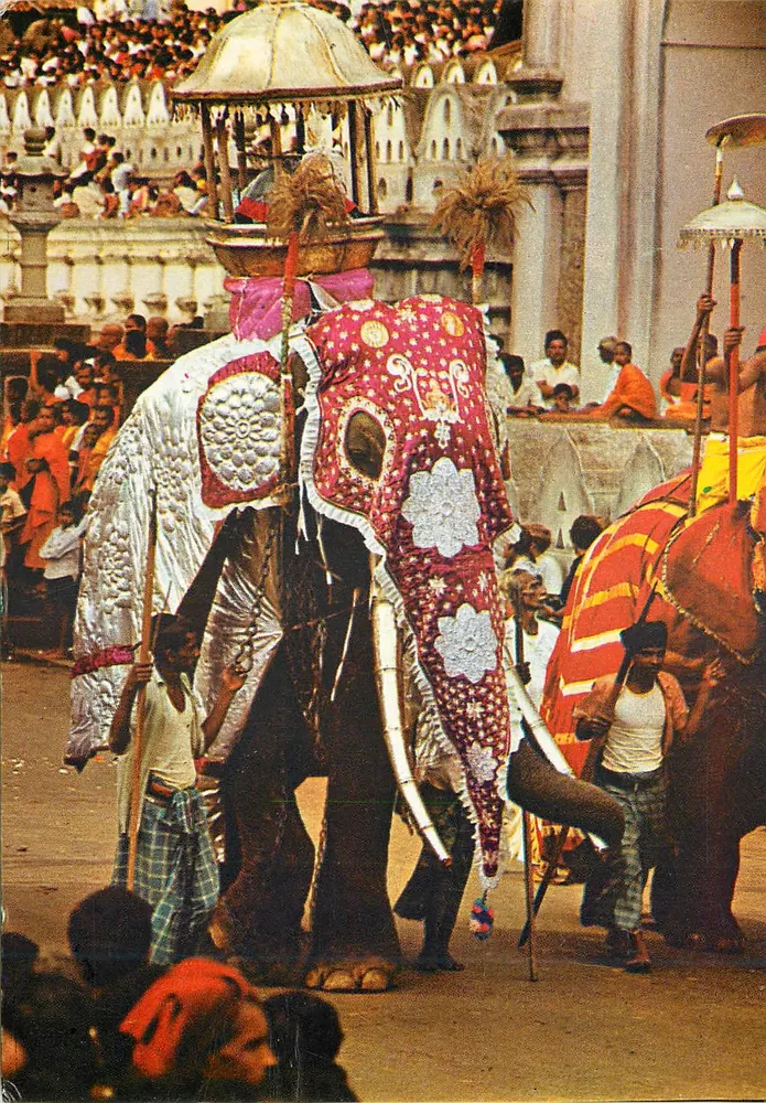 कन्डी एसला पेरहेरा — बौद्ध श्रृंखला के आदर्श के लिए — ऑफसेट बाई लेक हाउस प्रिंटर्स एंड पब्लिशर्स लिमिटेड, श्री लंका - आगे