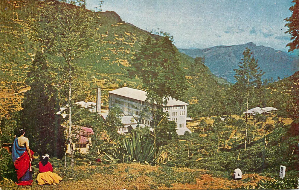 Fábrica y plantación de té cerca de Nuwara Eliya — Sri Lanka — Ceylon Pictorials - Anverso