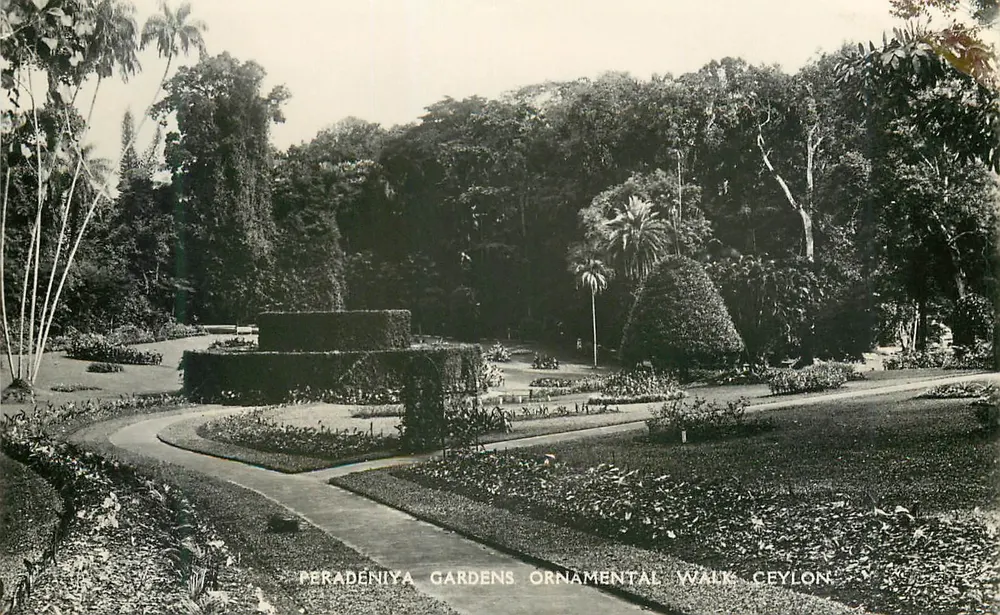 Peradeniya Gardens — Ornamental Walk — Ceylon - Front