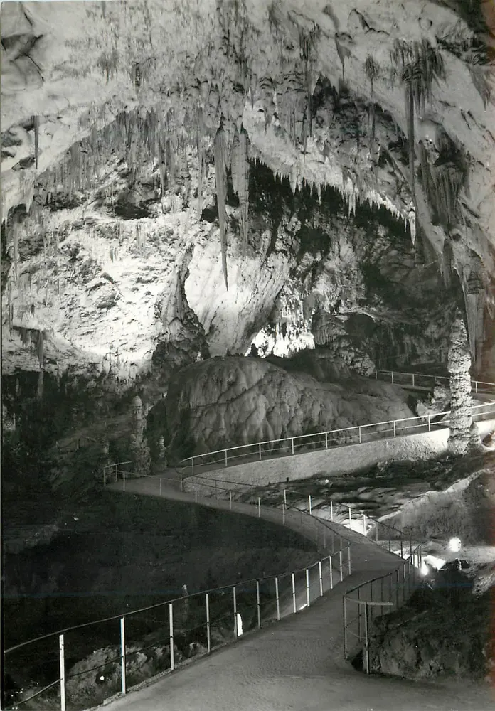 Grotta di Postojna — Slovenia — editore Postojnska Jama, n° 213-43 - Recto