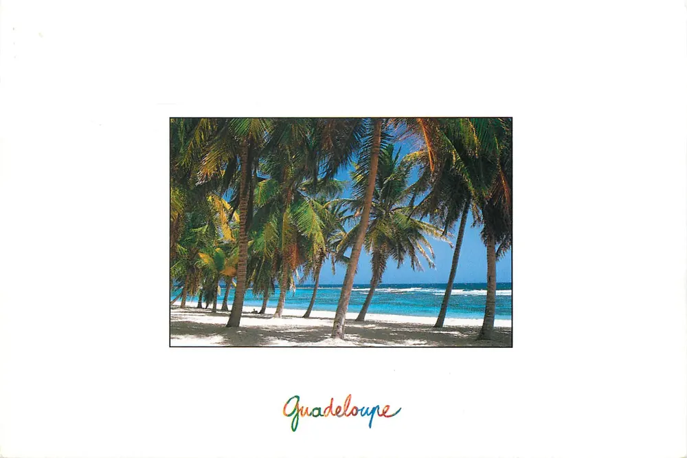 Palmdreef — Guadeloupe — Uitgave Le Photographe - Voorkant