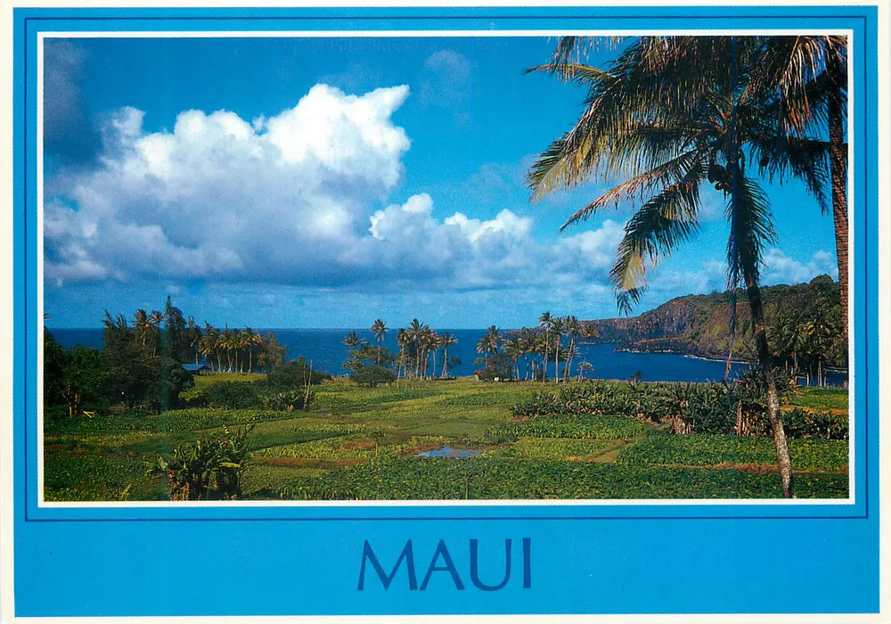 Maui — Eiland Maui, Hawaii — Island Heritage Publishing, n° BM-116 - Voorkant