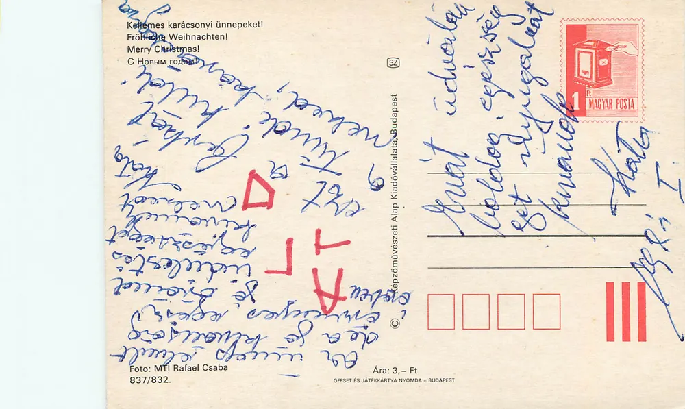 Arranjo de frutas e galhos de pinheiro — editor MTI Rafael Csaba, n° 837/832 - Verso